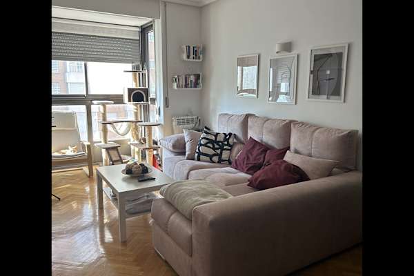 House sit in Madrid, Spain