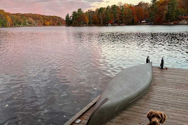 House sit in Parry Sound, ON, Canada