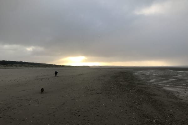 House sit in Wells-next-the-Sea, United Kingdom