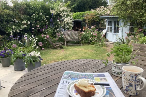 House sit in Salisbury, United Kingdom