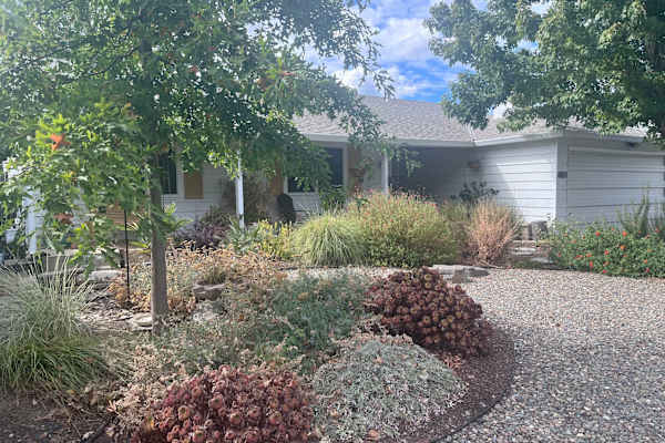 House sit in Sacramento, CA, US
