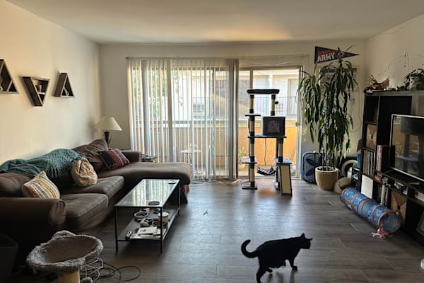 House sit in West Hollywood, CA, US