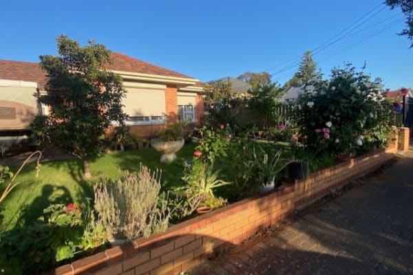 House sit in Adelaide, SA, Australia