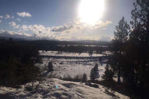 House sit in Truckee, CA, US