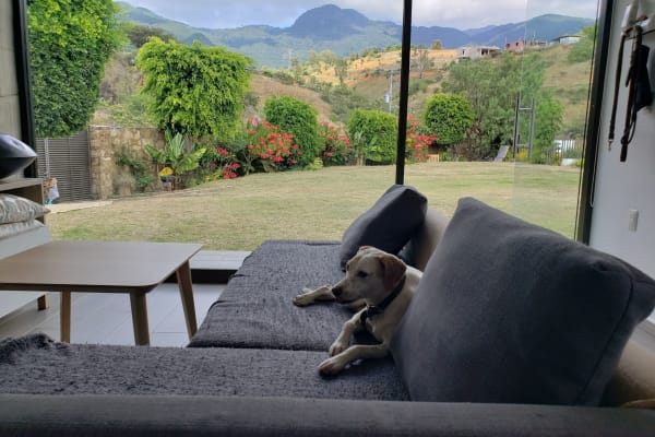 House sit in Oaxaca, Mexico