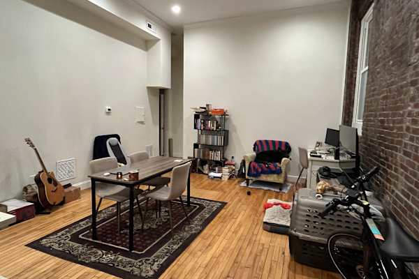 House sit in New Haven, CT, US