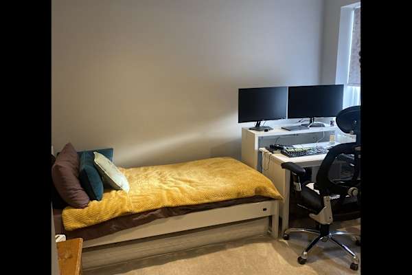 House sit in Golders Green, United Kingdom
