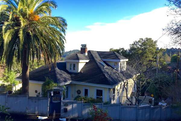 House sit in San Anselmo, CA, US