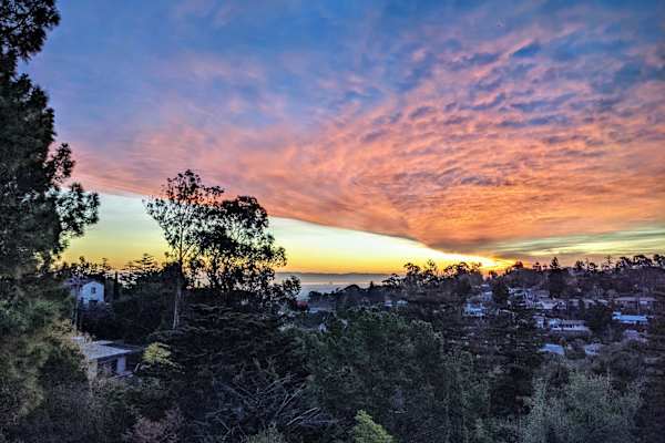 House sit in Burlingame, CA, US