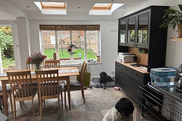 House sit in Clapham, United Kingdom