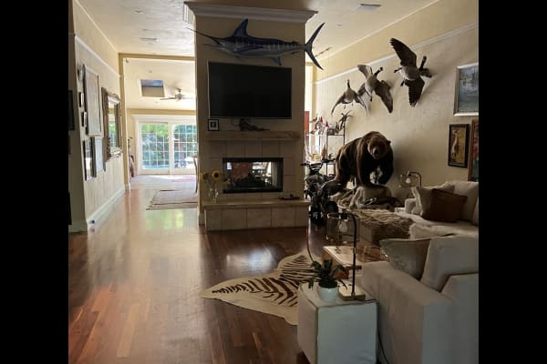 House sit in Atherton, CA, US