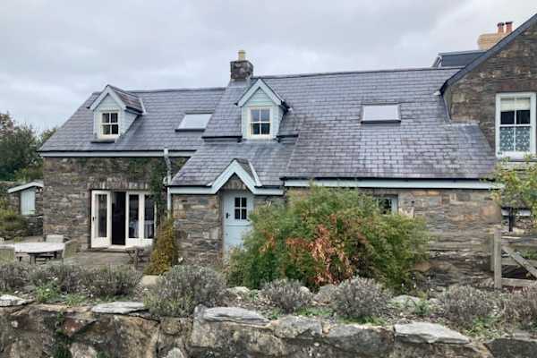 House sit in Dinas, United Kingdom