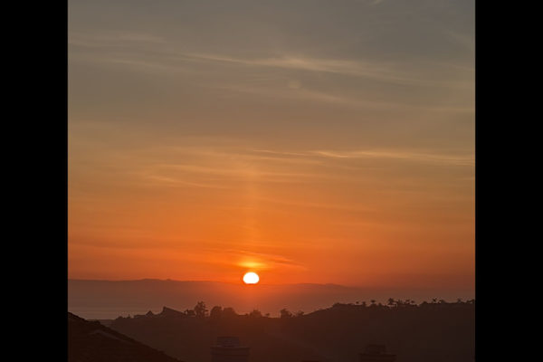 House sit in San Clemente, CA, US