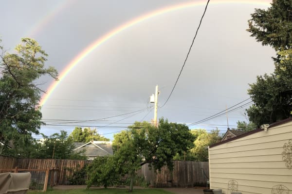 House sit in Denver, CO, US