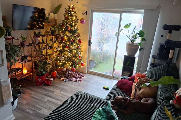 House sit in Walhalla, SC, US