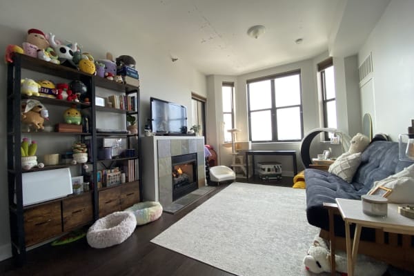 House sit in Chicago, IL, US