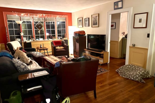 House sit in Cambridge, MA, US