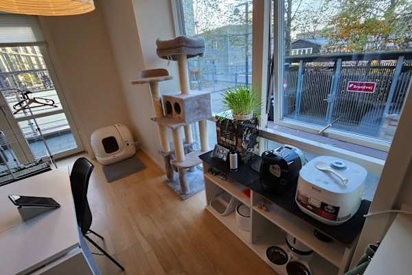 House sit in Copenhagen, Denmark