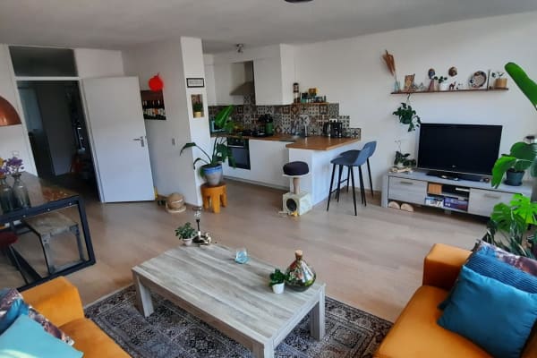 House sit in Rotterdam, Netherlands