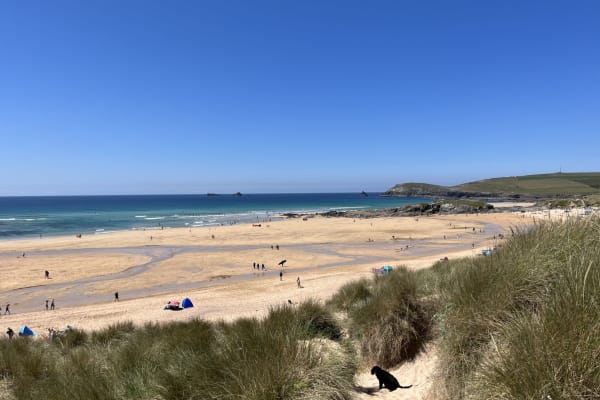 House sit in Padstow, United Kingdom