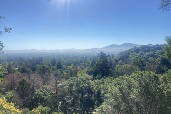 House sit in Lafayette, CA, US