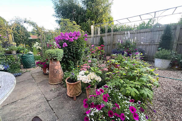 House sit in Nailsworth, United Kingdom