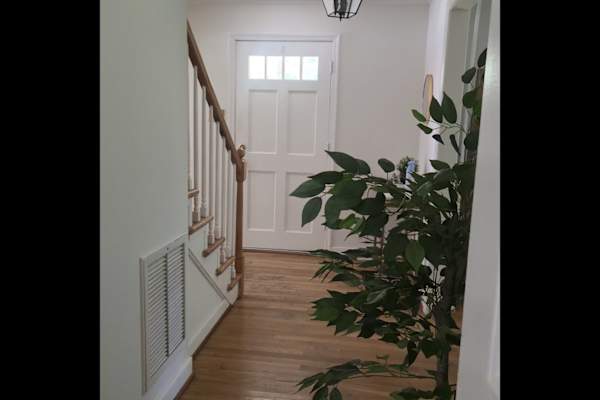 House sit in Richmond, VA, US