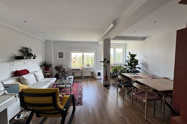 House sit in Madrid, Spain