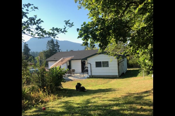 House sit in Duncan, BC, Canada