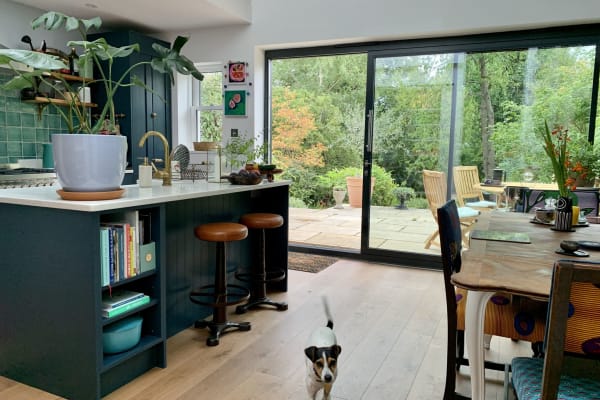 House sit in London, United Kingdom