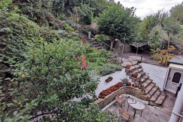 House sit in Bristol, United Kingdom