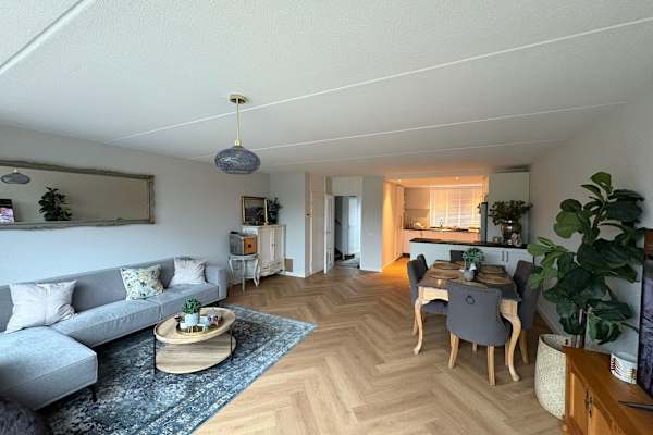 House sit in Rotterdam, Netherlands