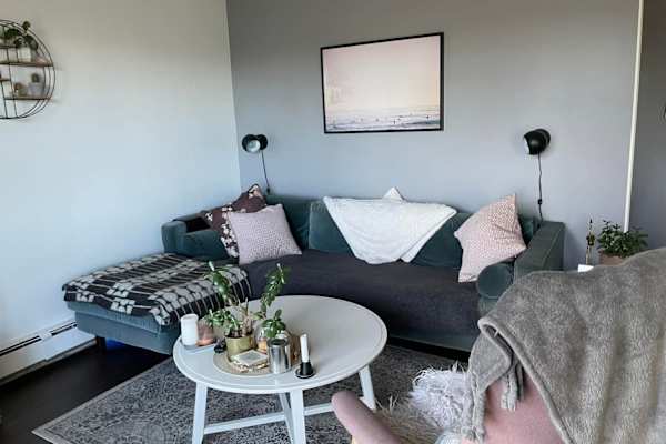 House sit in Calgary, AB, Canada