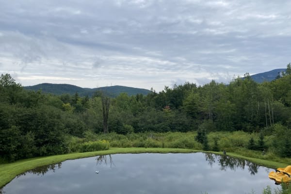 House sit in South Starksboro, VT, US