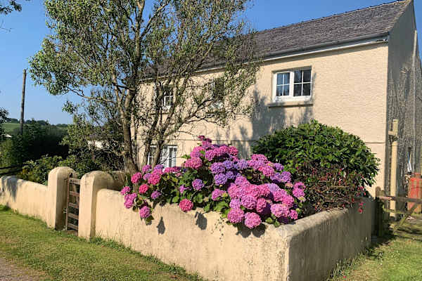 House sit in Narberth, United Kingdom