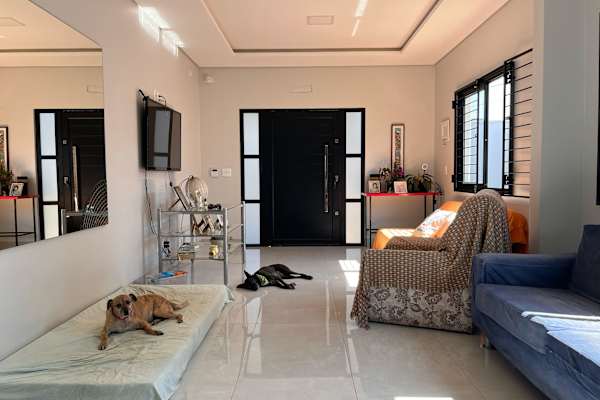 House sit in Toledo, Brazil