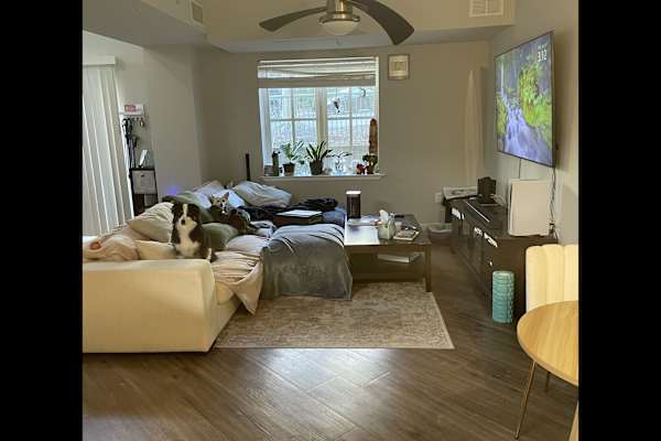 House sit in Charlotte, NC, US