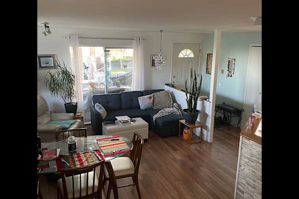 House sit in Sechelt, BC, Canada