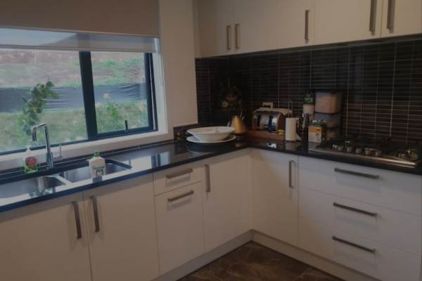 House sit in Hamilton, New Zealand