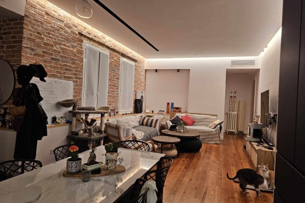 House sit in Bilbao, Spain