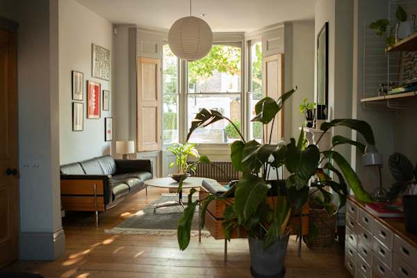 House sit in London, United Kingdom
