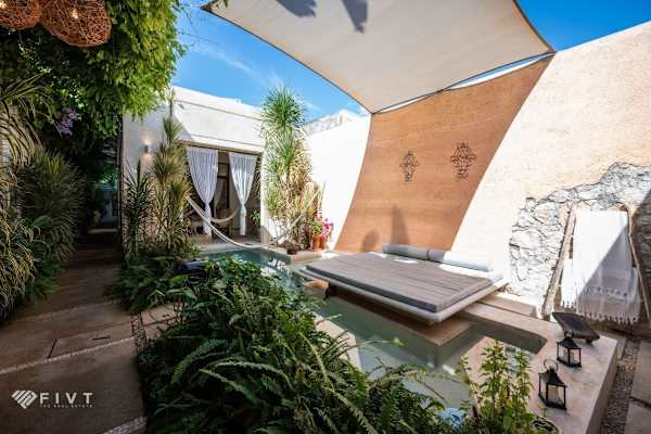 House sit in Mérida, Mexico