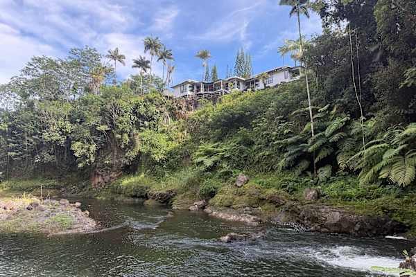 House sit in Hilo, HI, US