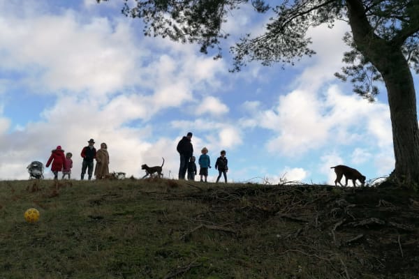House sit in Graffham, United Kingdom