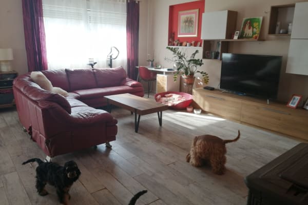 House sit in Zadar, Croatia