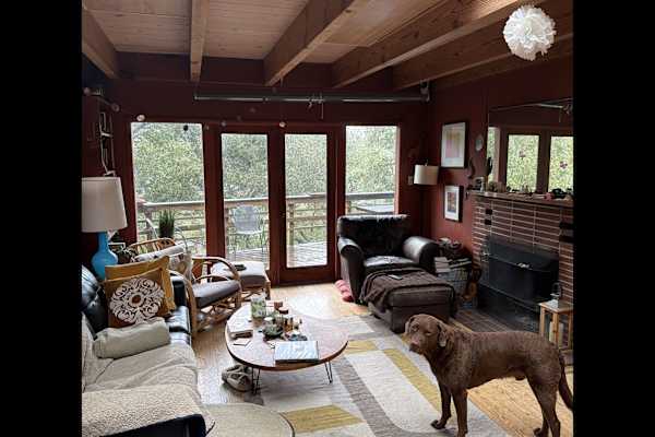 House sit in Mill Valley, CA, US