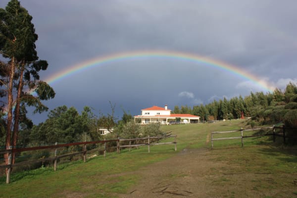 House sit in Coja, Portugal