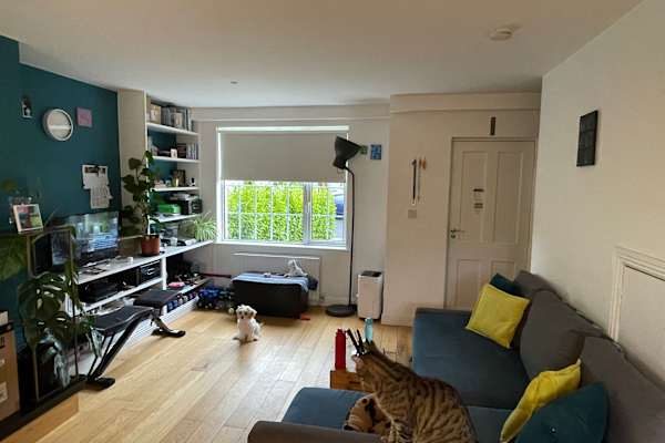 House sit in Dublin, Ireland
