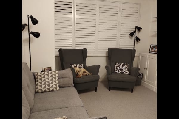 House sit in West Norwood, United Kingdom