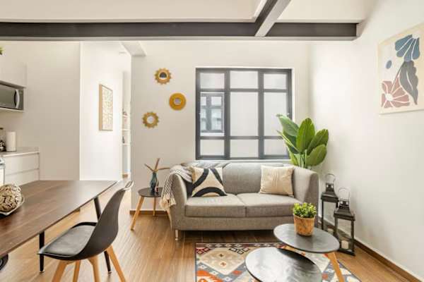House sit in Mexico City, Mexico